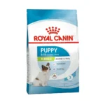 ایکس اسمال پاپی رویال