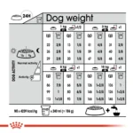 جدول مینی اگزیجنت رویال