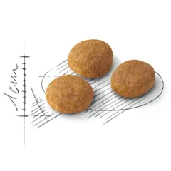 دانه بندی آروما اگزیجنت