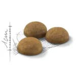 دانه بندی ایندور لانگ رویال