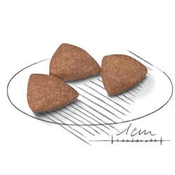 دانه بندی ایندور لایف