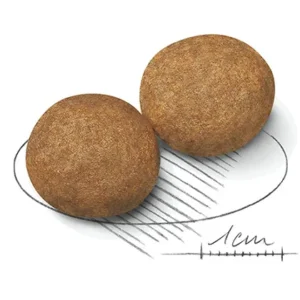 دانه بندی مدیوم ادالت