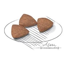 دانه بندی مینی ایندور ادالت