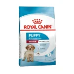 مدیوم پاپی رویال کنین