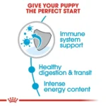 مزایا ایکس اسمال پاپی