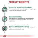 مزایا ستیتی گربه رویال