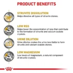 مزایا یورینری اس سگ رویال