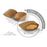 مینی اگزیجنت ادالت