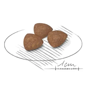 مینی ایندور پاپی رویال