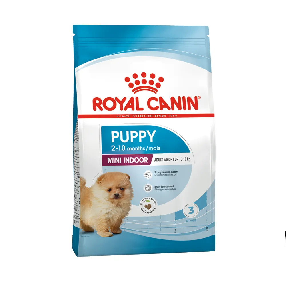 مینی ایندور پاپی رویال مینی ایندور پاپی رویال