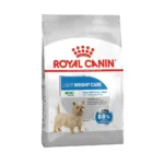 مینی لایت رویال کنین