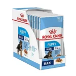 پوچ مکسی پاپی رویال