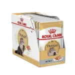 پوچ پرشین رویال کنین