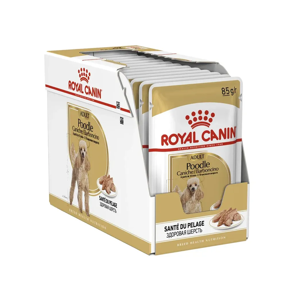 پوچ پودل رویال کنین پوچ پودل رویال کنین