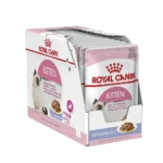 پوچ کیتن ژلی رویال