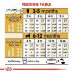 جدول گلدن پاپی رویال