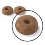 دانه بندی دایجستیو گربه