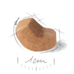 دانه بندی شیتزو پاپی