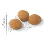 دانه بندی پروتئین اگزیجنت