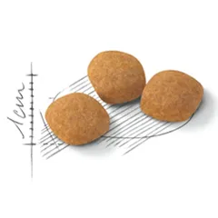 دانه بندی پروتئین اگزیجنت