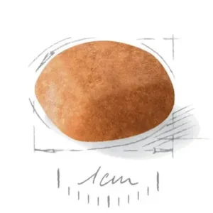 دانه گلدن پاپی رویال