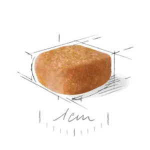 دانه یورکشایر پاپی رویال