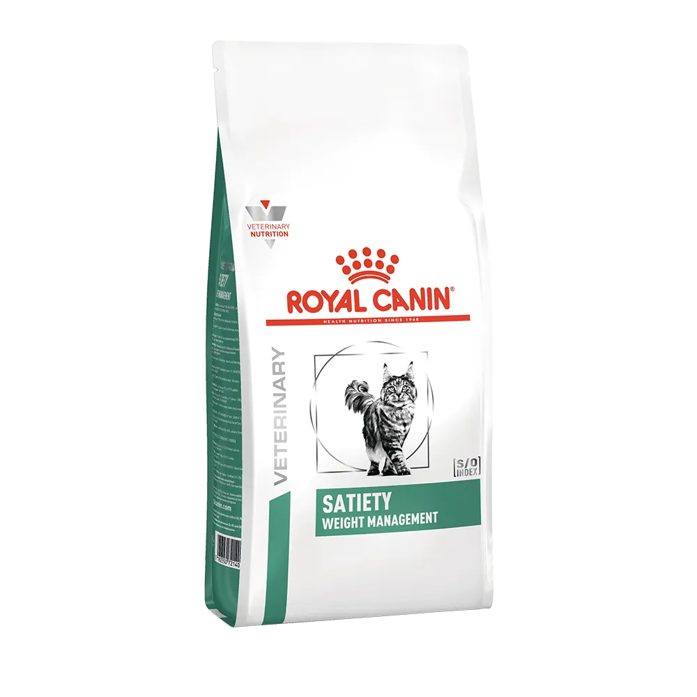 ستیتی گربه رویال کنین ستیتی گربه رویال کنین