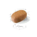 مالتیز ادالت