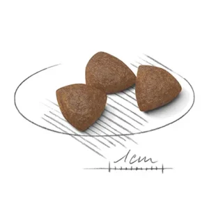 مدیوم استارتر رویال کنین