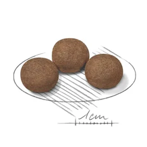 مدیوم پاپی رویال کنین