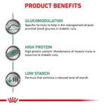 مزایا دیابتیک گربه رویال