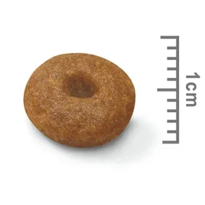 مکسی استارتر رویال کنین