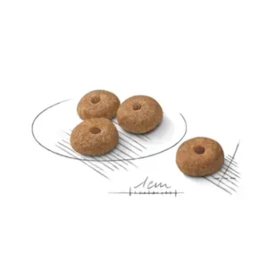 مینی استریلایزد رویال کنین