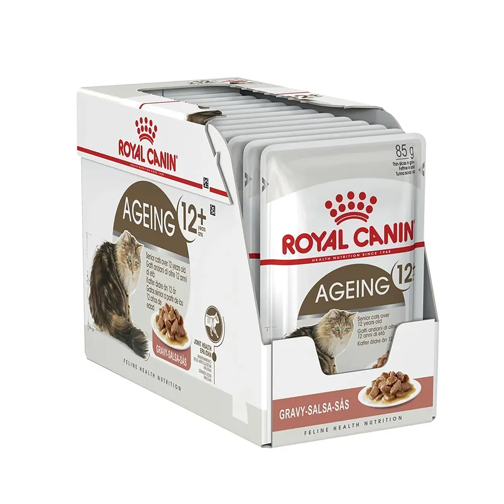 پوچ ایجینگ گربه رویال پوچ ایجینگ گربه رویال