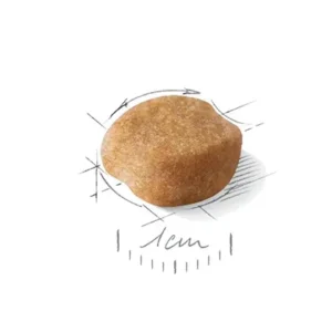 یورکشایر ادالت رویال کنین