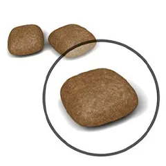 دانه بندی یورینری کر گربه