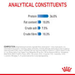 گربه لایت رویال کنین