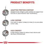 مزایا هپاتیک گربه رویال