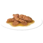 بافت پوچ ایندور استریلایزد