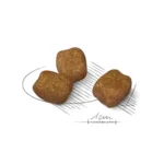 مینی دنتال کر رویال کنین