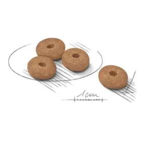 مینی لایت ویت رویال کنین