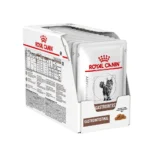 پوچ گاسترو گربه رویال