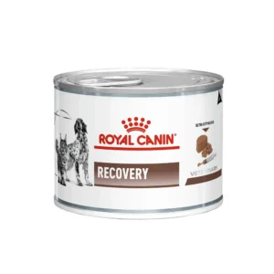 کنسرو ریکاوری رویال کنین