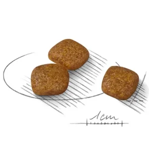 دانه بندی مینی یورینری