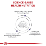 غذای گربه دندان رویال