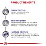 غذای گربه دندان رویال