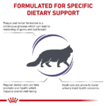 غذای گربه دندان رویال