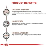 مزایا گسترو گربه رویال