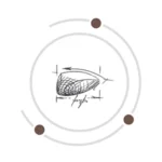 دانه بندی گسترو پاپی