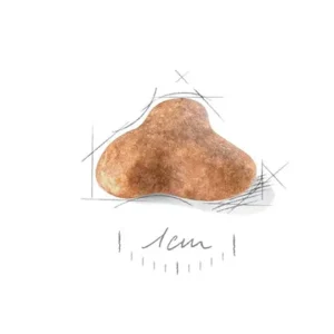 پاگ ادالت رویال کنین